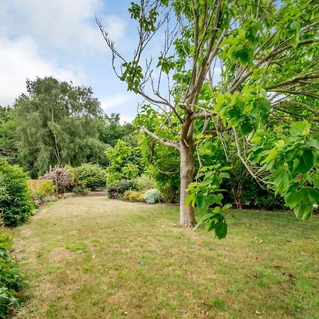 Little Thatch Lovely 2-Bed Converted Workshop Near Weymouth Radipole Extérieur photo