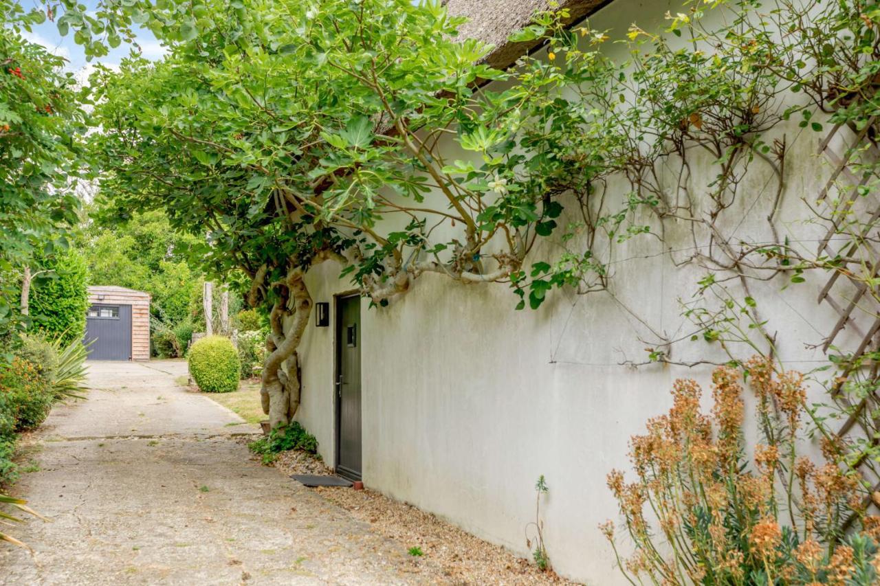 Little Thatch Lovely 2-Bed Converted Workshop Near Weymouth Radipole Extérieur photo